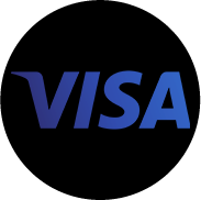 VISA Icon